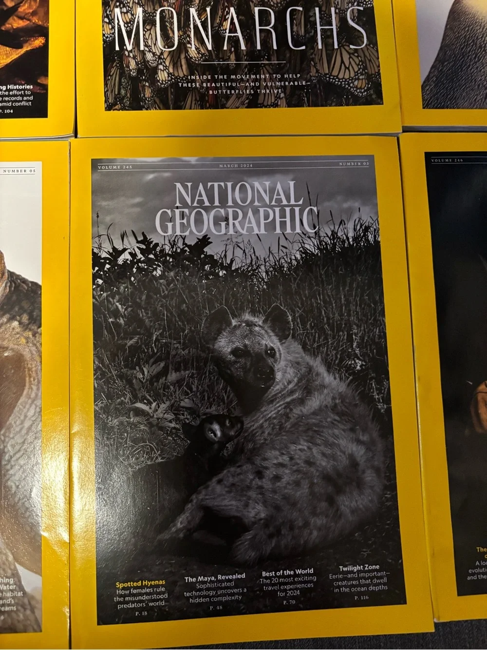 National Geographic Magazine Lot - 8 issues with animal themes